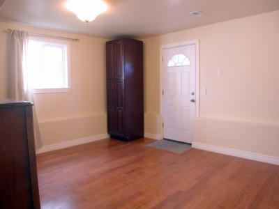 Lower level fireplace